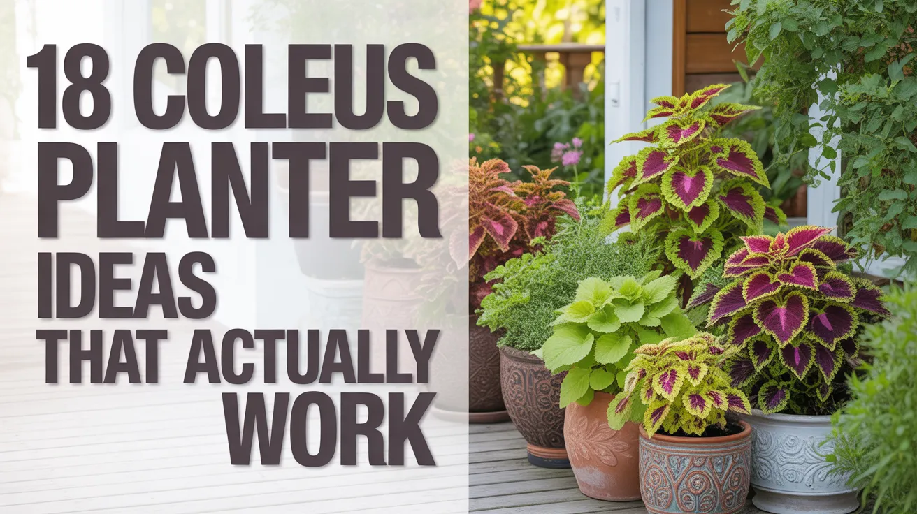 18 Coleus Planter Ideas That Actually Work