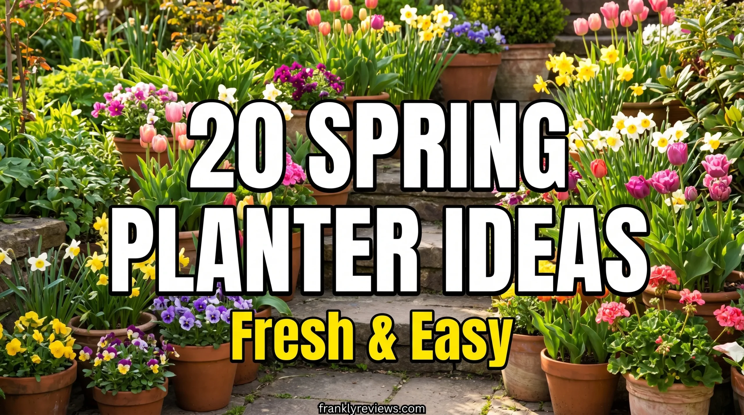 20 Spring Planter Ideas